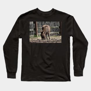Donkey Long Sleeve T-Shirt